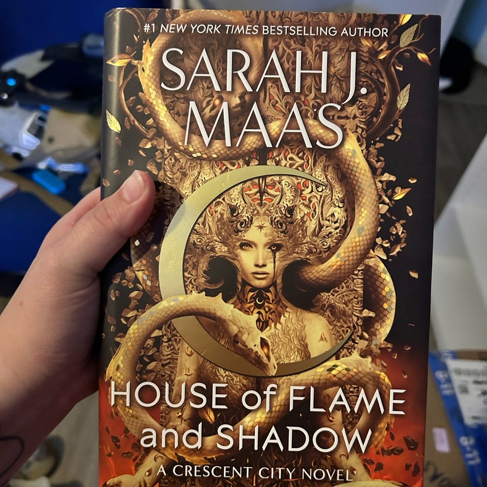 House of Flame and Shadow Book